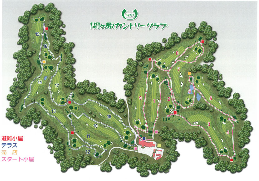 コース全景